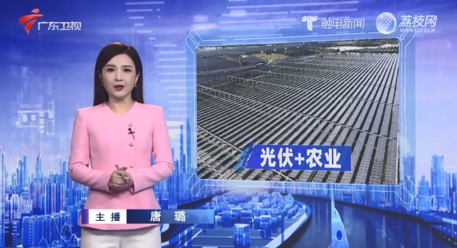 㶫ӡֲ˰ϡ֡ ̽˴µ·